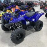 Yamaha Grizzly 90 2020
